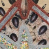 FRENZY (DETAIL 1)