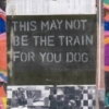 THIS MAY NOT BE THE TRAIN FOR YOU DOG