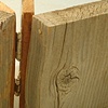 Nested Book--Cover
