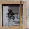 New Museum of Nature and Industry 