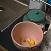 Germ #5