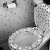Shitting on money