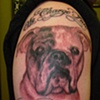 andys beast