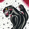 panther1