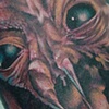 the fly