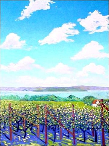 Willows Vineyard