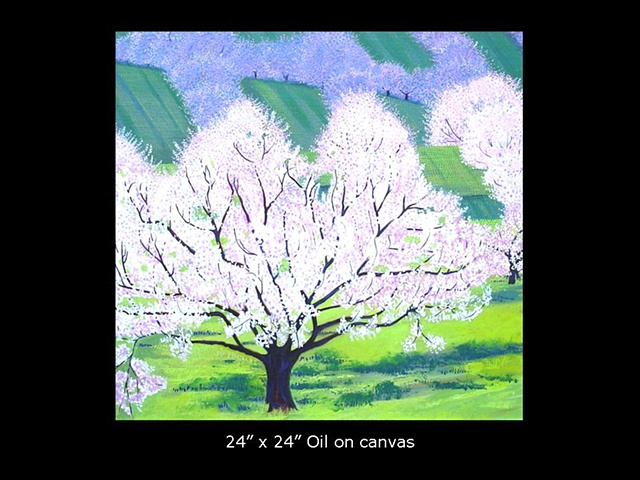 Cherry Orchards