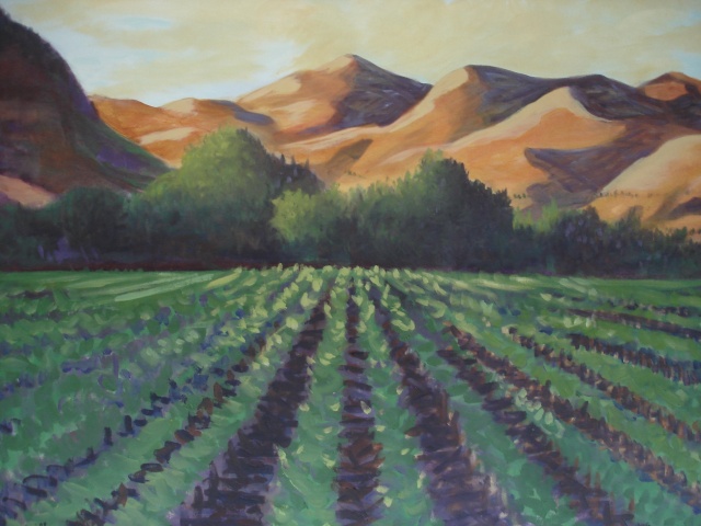 vineyards