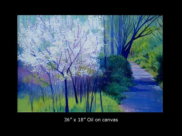 Spring Walk