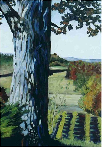 Ciccone's Tree
