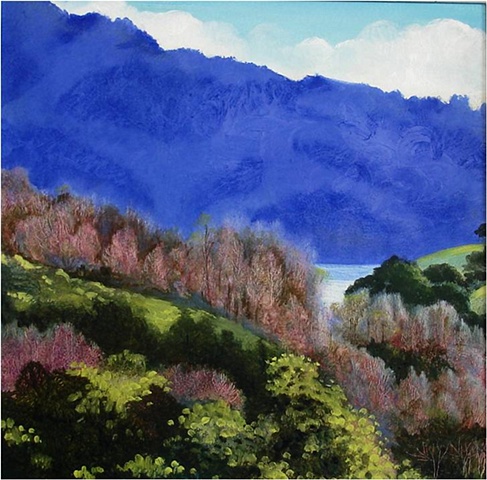Lake Sonoma