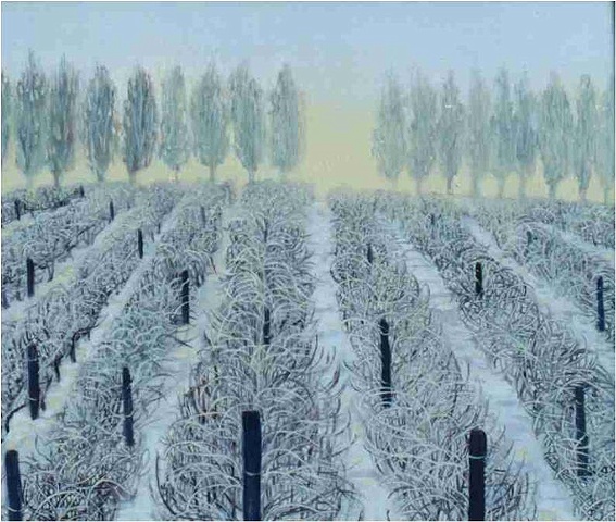 Winter Vineyard
