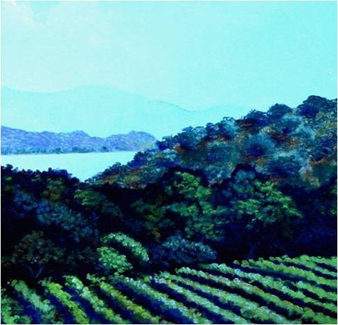 Sonoma