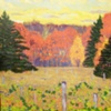 Fall Vineyards