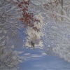 winter walk