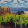 Ciccone Vineyard