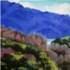 Lake Sonoma
