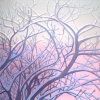winter dryad