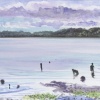 salt water park
