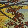 Fall on Lake