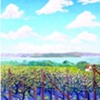 Willows Vineyard