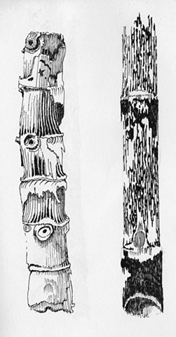 http://opp-m.com/1/3/0/27130/assets/BNW5FrNoGIKVALQN.jpg
