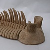 trilobite