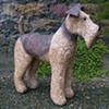 fox terrier