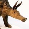 aardvark