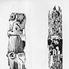 bamboo driftwood