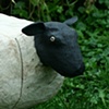 sheep drawer