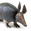 armadillo