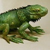 Iguana