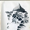 holely rocks-Ayou Forka