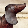 dachshund
