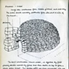 Bread making