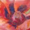 Poppy