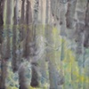 Grove