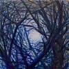 Nature's Nest