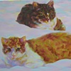 Cats Haven