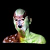 Fawn