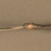 Discovery No. 6