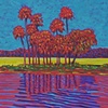 Orange Lake Reflection