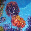 Florida Fireworks