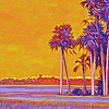 Aripeka Sunset