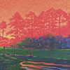 Cross Creek Morning