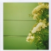 YellowFilter