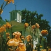 Luther Burbank Gardens #3