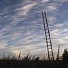 Exit Strategy
