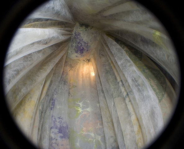 "tangled" installation view.